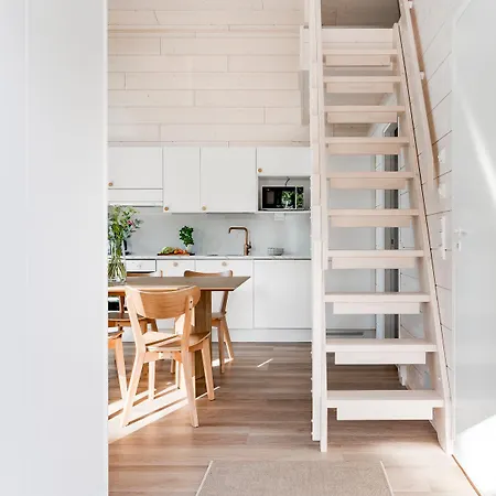 Himos Frame Apartment